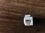 Gold Plating RJ45 Keystone Jack Cat6A UTP 180 Degree Tool Free Outlet