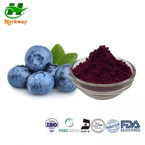 China ISO Natural Pigment Powder 25% Anthocyanidins 84082-34-8 Europen Bilberry Extract Powder wholesale