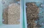 Raw Or Roasted Coffee Bean Color Sorter 1 Chute 64 Channels