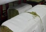 PE Laminated / BOPP Film Hay Bale Sleeves / PP Woven Fabric Roll Custom Size