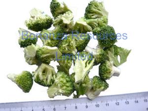 China 2018 New Natural Vegetable Food Freeze Dried Broccoli wholesale