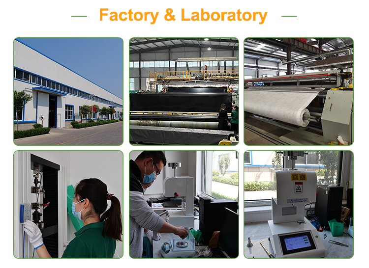 1.0-1.7mm Thickness HDPE Geocell Production Line for Total Solution in Road Construction