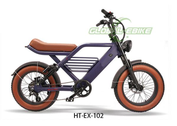 EX-102 Aluminum Alloy Frame Fat Tire Retro Style Electric Mountain Bike for