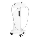 RF Microneedle Machine For Cellulite Reduction And Pigmentation Removal