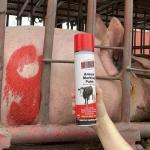 Aeropak Long Lasting Livestock Marking Paint Marker Paint For Cattle And Pigs