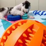 Dog Pet Treat Dispensing Ball Solid Rubber Chew Toy with Natural Rubber Material