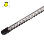 5V USB Plant Grow Light Full Spectrum Phyto Lamp
