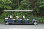 6+2 Eco-Friendly Cruiser Electric Golf Cart with 48V Lithium Battery