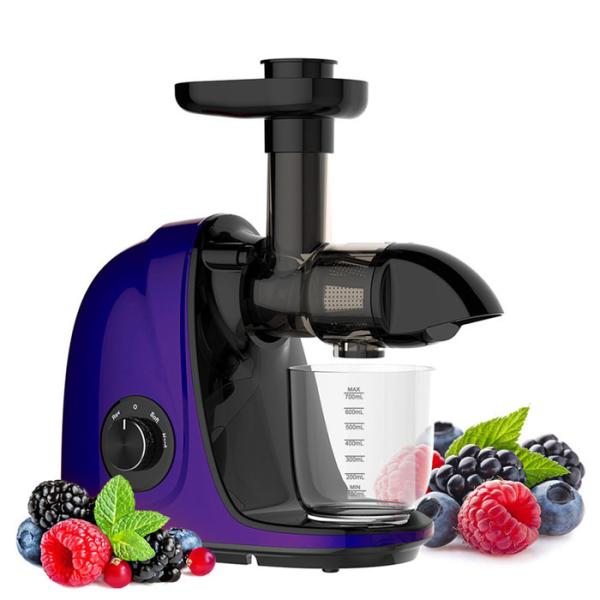Masticating Slow Juicer / Carrot Juicer Extractor Machine Electric Fruit Press