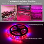 DC12V DIY Red Blue 3:1 4:1 5:1 Led Mood Light 12V Grow Light Strips For Plants