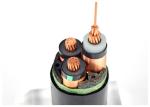 Medium Voltage XLPE Insulated Power Cable Single Core 3 Core Copper Conductor