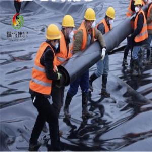 China Impervious HDPE Geomembrane Pond Liner High Density Polyethylene Liner on sale