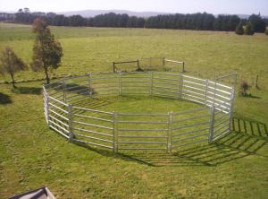 China Portable Horse Stall Panels 40x40 6 Oval Rails. Locking Pins. , Victoria , Cattle wholesale