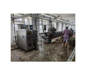China Revolutionize Your Production with Our Top- Ice-Cream Popsicle Stick Processing Line wholesale