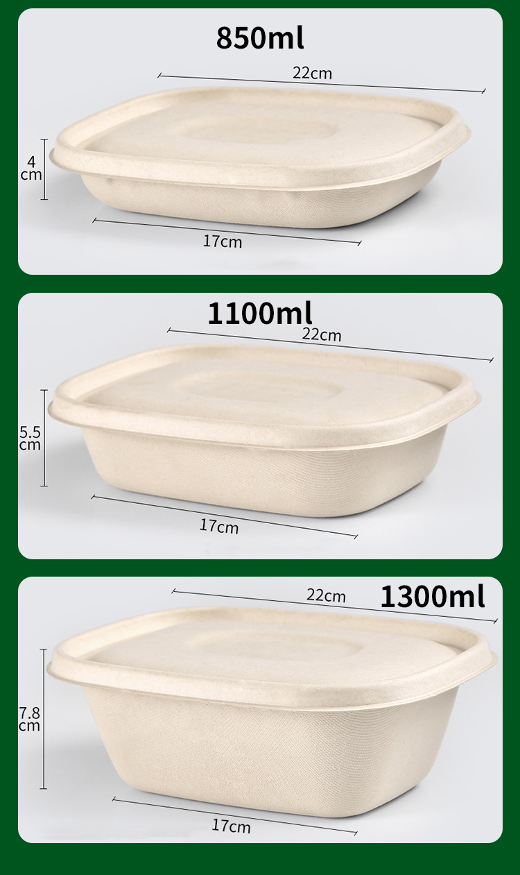 Disposable Party Dinnerware Take Away Salad Box 850ml 1100ml 1300ml Sugarcane Bagasse Pulp Box Packaging
