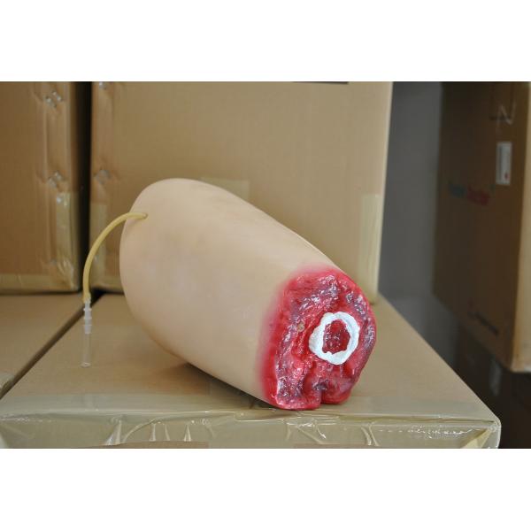 Thigh Haemorrhage Amputated Model First Aid Dummy for Cutting Practising