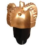 All Types Oilfield Drill Bit , Polycrystalline Diamond Drill Bits Long Run Times