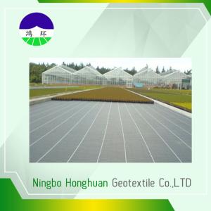 China Anti - Weed Split Film PP Woven Geotextile Fabric For Stops Soil Erosion , Black Color wholesale