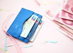 Passport /card wallet/credit card holder Unisex Card Cosmetic Case Storage bag