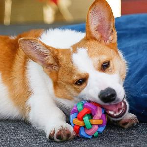 China Rubber Molar Bite Resistant Tpr Woven Dog Ball Pet Chew Toys 8cm wholesale