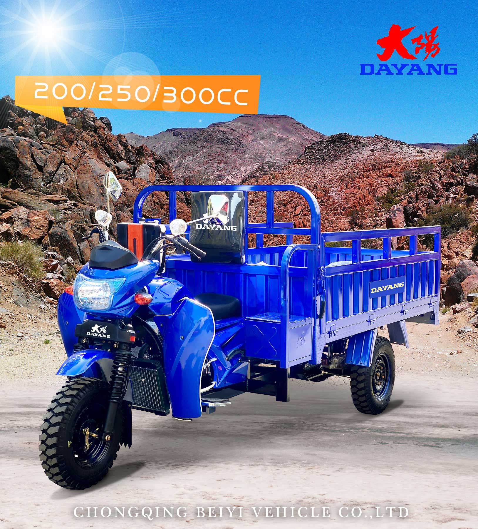 Motorized 800 W DAYANG 300 Petrol 3 Wheel Motorcycle and Tricycle for Heavy Loading