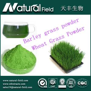 China 25:1organic barley grass juice powder wholesale