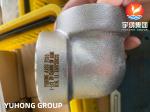 Stainless Steel Forged Fittings 3000# 6000# , ASME B16.11,NPT,SW,45°,90°ELBOW