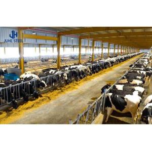China 2-10 Meters Height Cow Farm Building House Cowshed Design with 60mm Pipe Diameter wholesale