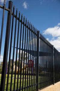 China Black Powder Coated Tubular Fence / Steel Fence / Wrought Iron Fence for Australia wholesale