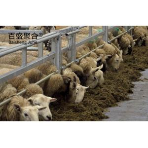 China Q235 Low Carbon Steel 's Steel Farming Solution for Effective and Secure Animal Housing wholesale