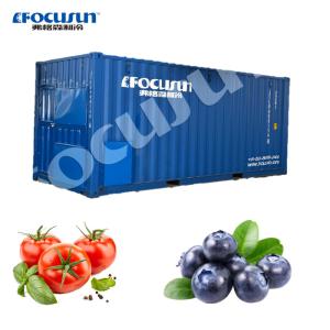China 20ft Solar Container for Meat Vegetable Fish and Fruit Storage Building Material Shops wholesale