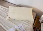 Washable 300 Cotton Yarn Firm Down Pillow