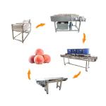 Hot selling Root Vegetables Cleaning Machine With Factory Price by Huafood