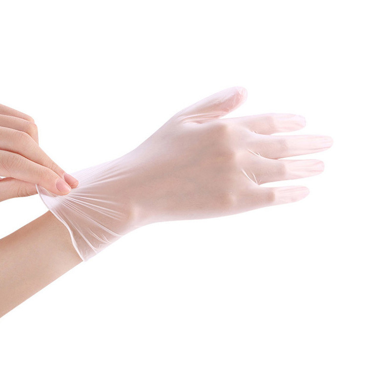 S M L Xl Pvc Examination Gloves , Transparent Vinyl Gloves CE Approved