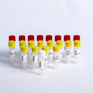China Universal Adapter PCR Primers Multiplex Oligos 1 For Illumina K002-A wholesale