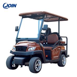 China Permanent Custom Golf Cart Seat 2N1 Electric Golf Buggy 2 Seater wholesale