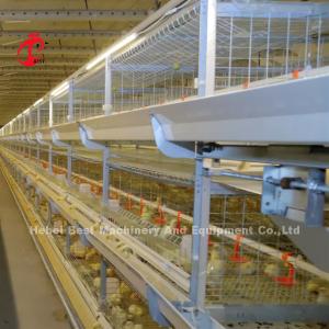 China Poultry Farm Automatic Baby Broiler Battery Cage System Rose wholesale
