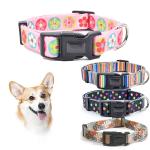 Fashionable Nylon Buckle Dog Collar S M L Breakaway Cat Collars Customized