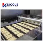 Instant Noodles Production Line for High-Performance Noodle Production