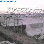 Farm Tunnel Polyethylene Film Greenhouse / Clear Plastic Greenhouse For Various