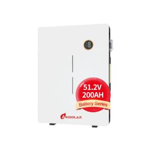 China Off Grid EU Standard 100Ah 48V 51.2V Lifepo4 Battery for Home Energy Storage System wholesale