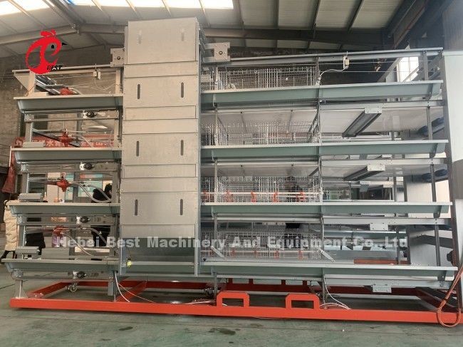 BEST Galvanized Automatic H Type Chicken Farm Broiler Cage System Adela