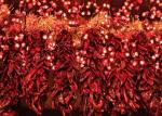 Long Dry 8000SHU Dried Red Chilli Peppers 20Kg Pungent Flavor