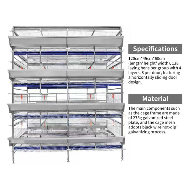 H Type 20000 Capacity Battery Layer Egg Chicken Cage with Automatic Cleaning Belt and Egg Collection System and Feeding System