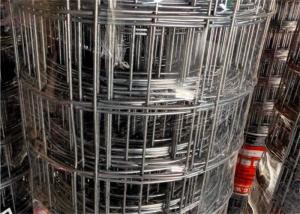 China 50 X 50mm Heavy Duty Welded Wire Mesh Rolls Hot Dipped Galvanised Mesh Fencing Roll wholesale