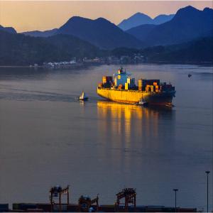 China China LCL FCL Sea Freight Forwarder To Aarhus International Shipping wholesale