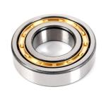 Cylindrical N204 N206 N208 N200Series N205 N220 Cylindrical Taper Roller Bearing