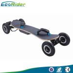 Two Speed Model 4 Wheel Skateboard , Adult Off Road Electric Skateboard With