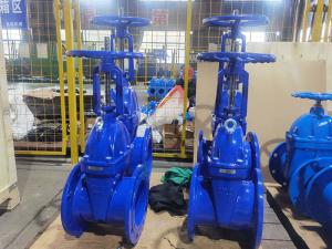 China GGG40 / GGG50 Wedge Gate Valve For Flanged Connection In Industrial Settings wholesale