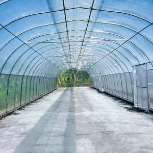 China Umbrella Roof Vent Single Span Greenhouse For Tropics Hydroponic Growing wholesale